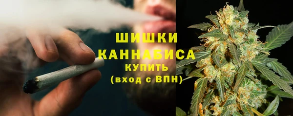 ПСИЛОЦИБИНОВЫЕ ГРИБЫ Вязники