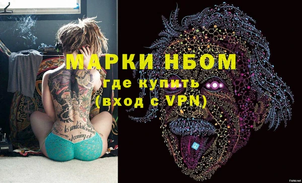 ПСИЛОЦИБИНОВЫЕ ГРИБЫ Вязники